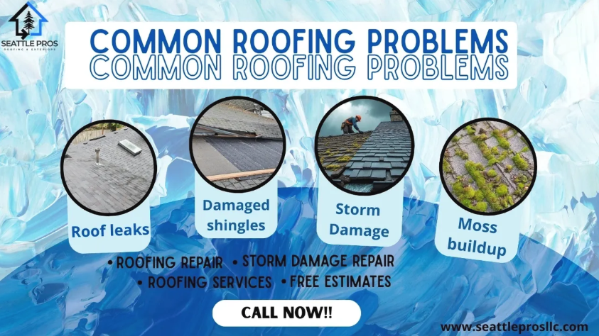 Common Roofing Problems And How To Fix Them Common Roofing Problems And How To Fix Them