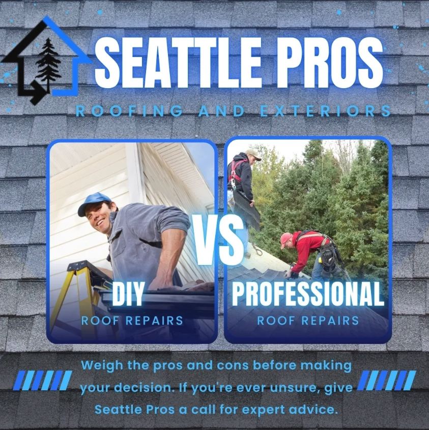 DIY vs. Professional Roof Repairs What You Need to Know DIY vs. Professional Roof Repairs What You Need to Know